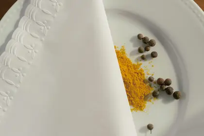 Guardanapo Premium — referência 13 ambientada