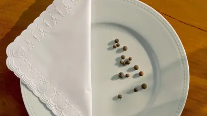 Guardanapo Premium — referência 12 ambientada